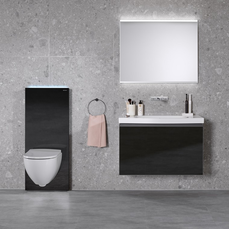 Monolith Plus with Acanto WC and washbasin