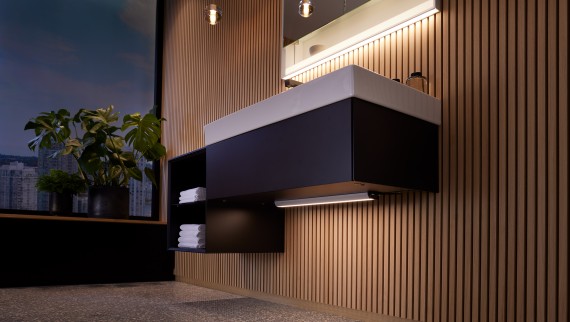 Mirror cabinet with light strip (© Geberit) Mirror cabinet with light strip (© Geberit)