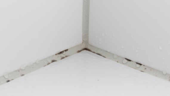 Mould in bathroom grout lines